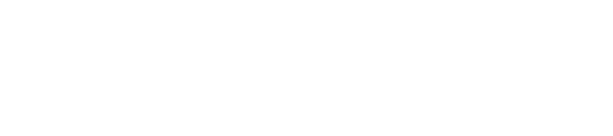 Performance Digital